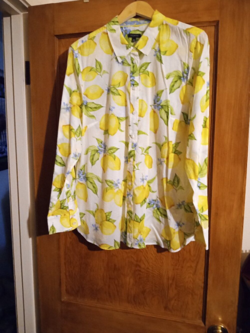 Talbots-Blouse